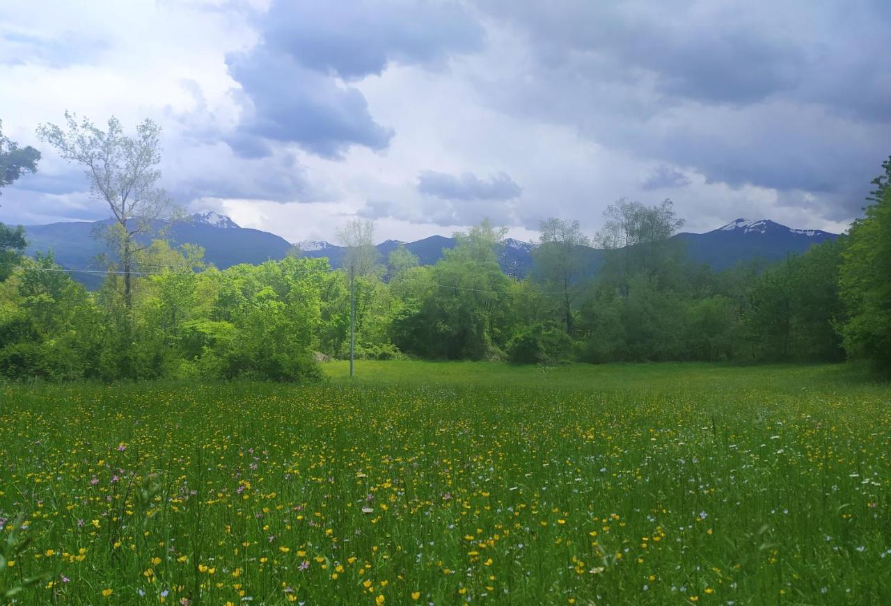 Agriturismo Rio Ricco Busana Buitenkant foto