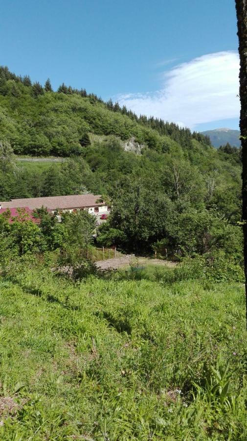 Agriturismo Rio Ricco Busana Buitenkant foto