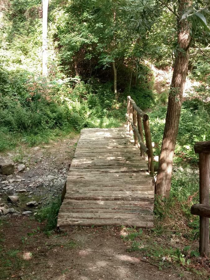 Agriturismo Rio Ricco Busana Buitenkant foto