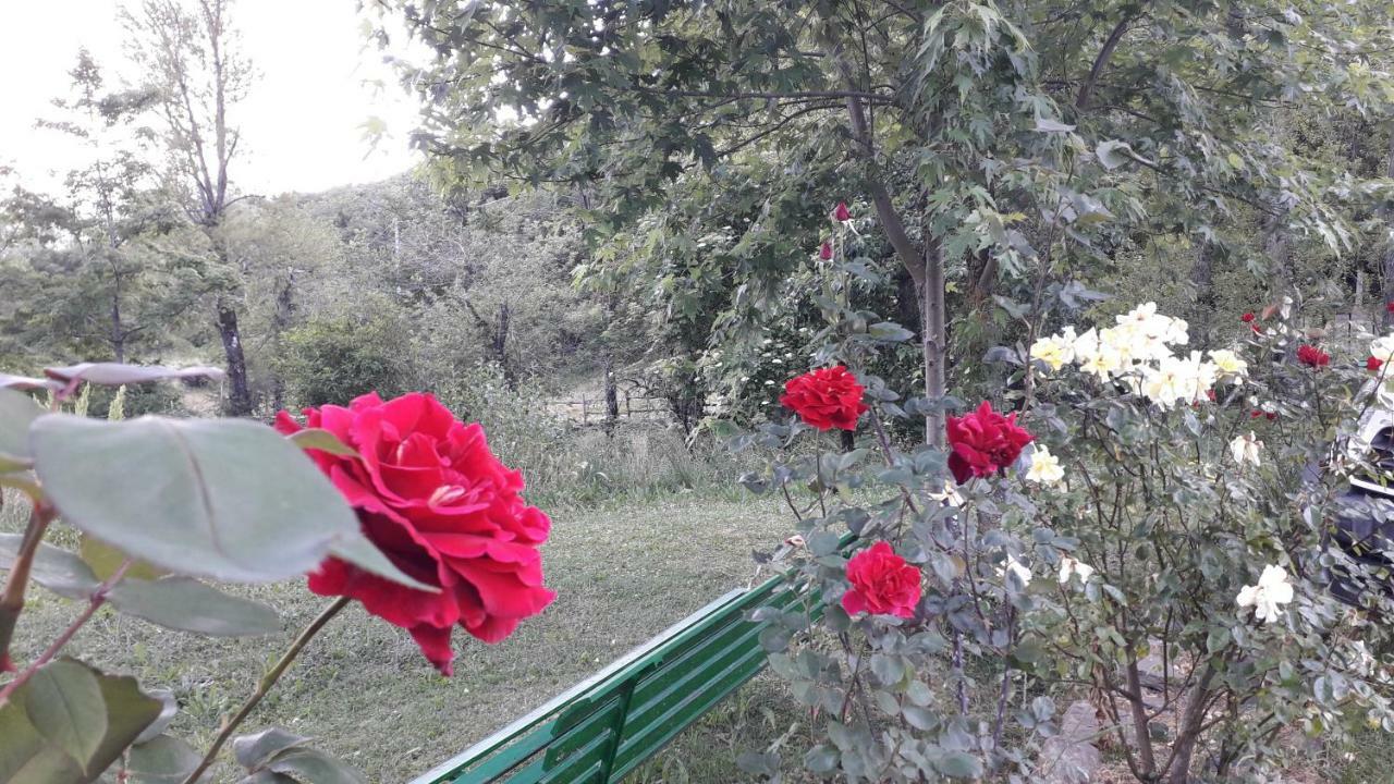 Agriturismo Rio Ricco Busana Buitenkant foto
